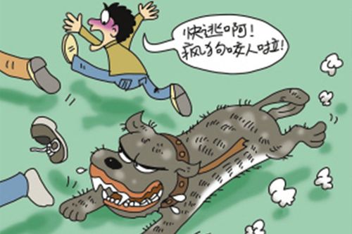 網(wǎng)站收錄在網(wǎng)站優(yōu)化中起到什么作用？