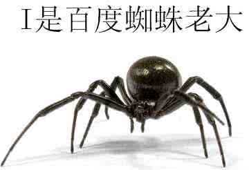 合肥網(wǎng)站優(yōu)化教程：基于搜索引擎友好的網(wǎng)站結(jié)構(gòu)優(yōu)化