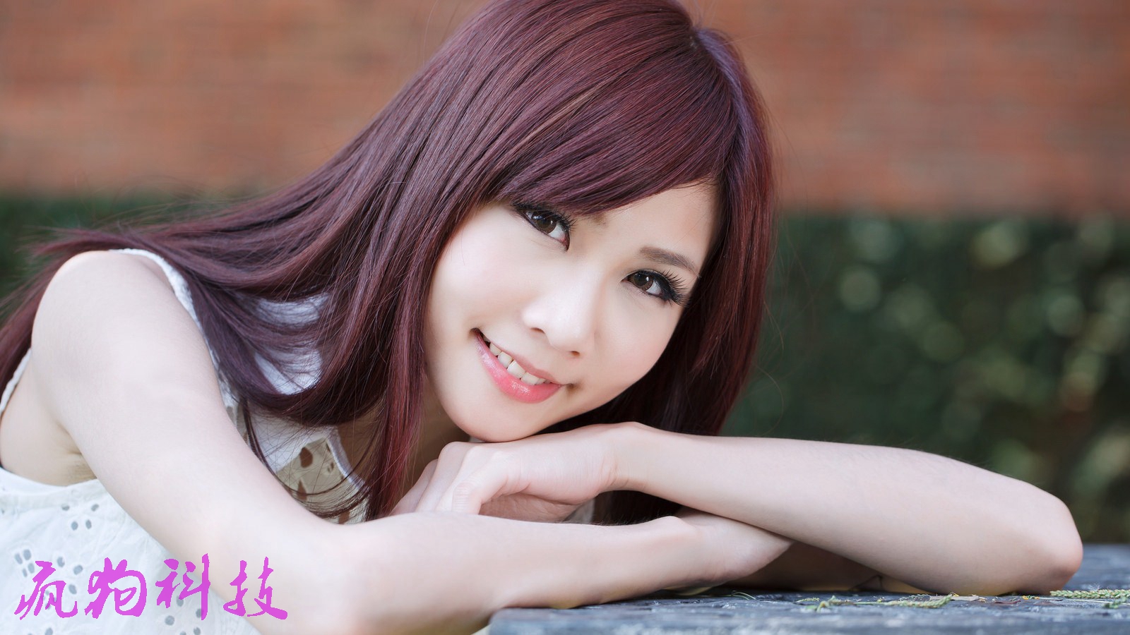 帶你走進“系統(tǒng)化的SEO優(yōu)化”的世界