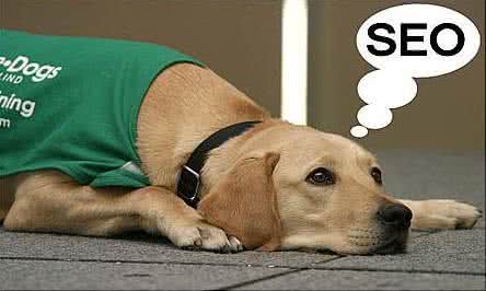 選擇網(wǎng)站關(guān)鍵詞要注意哪些問(wèn)題