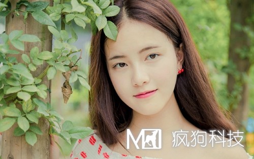 2017年網(wǎng)站推廣的20個方法策略？