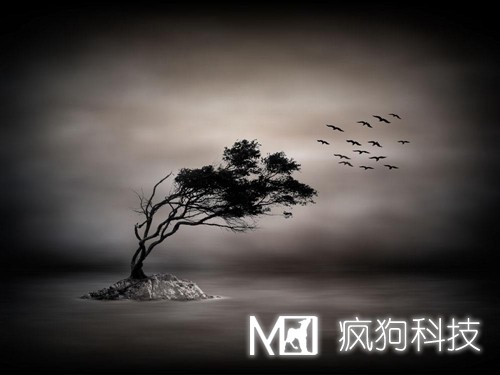 基于百度新算法下要如何做內(nèi)容優(yōu)化