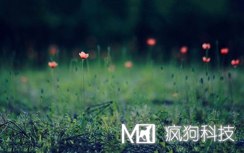 如何提高網(wǎng)站粘度，增加網(wǎng)站回頭客？