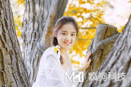 網(wǎng)站優(yōu)化中的死鏈?zhǔn)侨绾萎a(chǎn)生的？