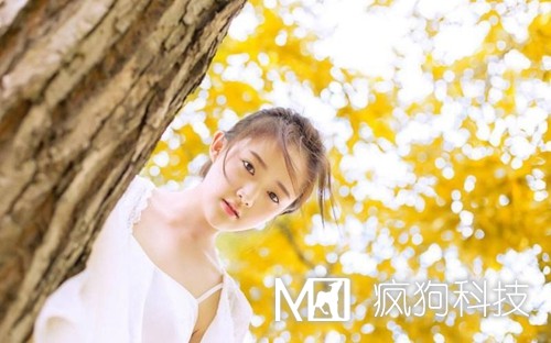 收藏：快速頁面收錄的六大絕技！