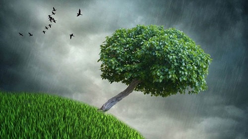 對(duì)于網(wǎng)站重復(fù)類型的優(yōu)化方案